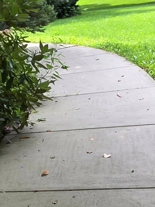The same sidewalk before pressure washing